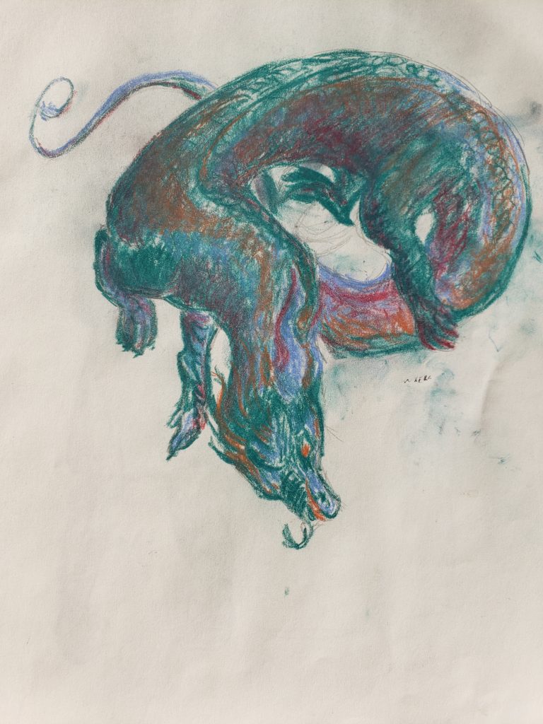 Pastel dragon color study