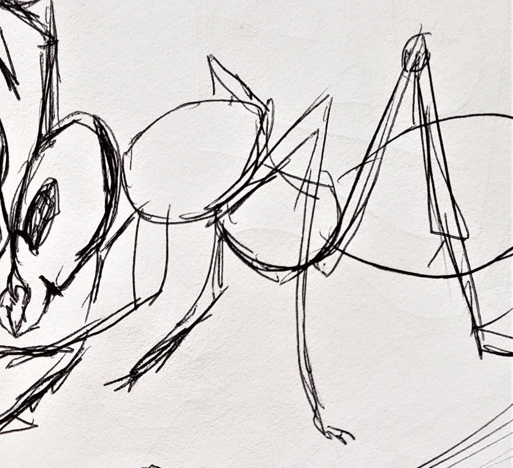 ink drawing of an ant